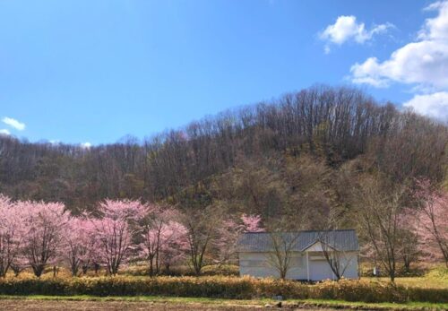 4月の営業日・定休日について