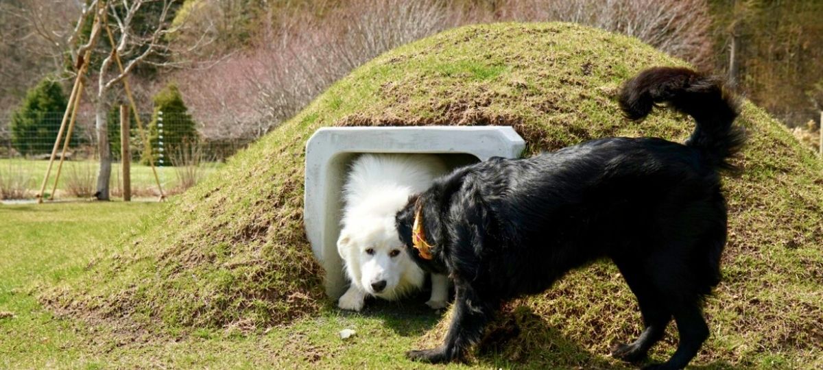 ドッグガーデン - Mina Farm