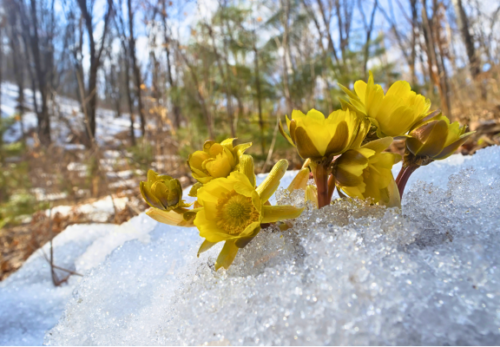 4月営業日・定休日について
