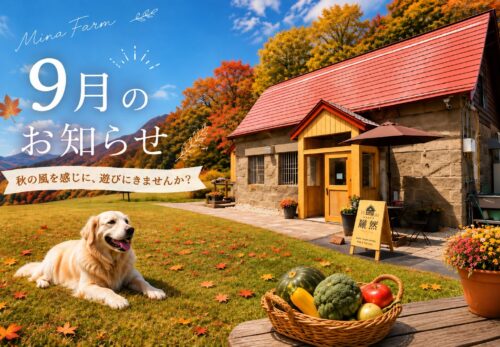 9月営業日・定休日について