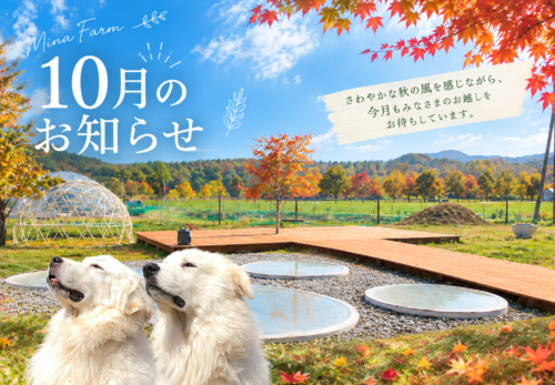 10月営業日・定休日について